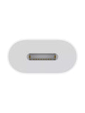 Apple USB-C to Lightning adapter white (British brand)
