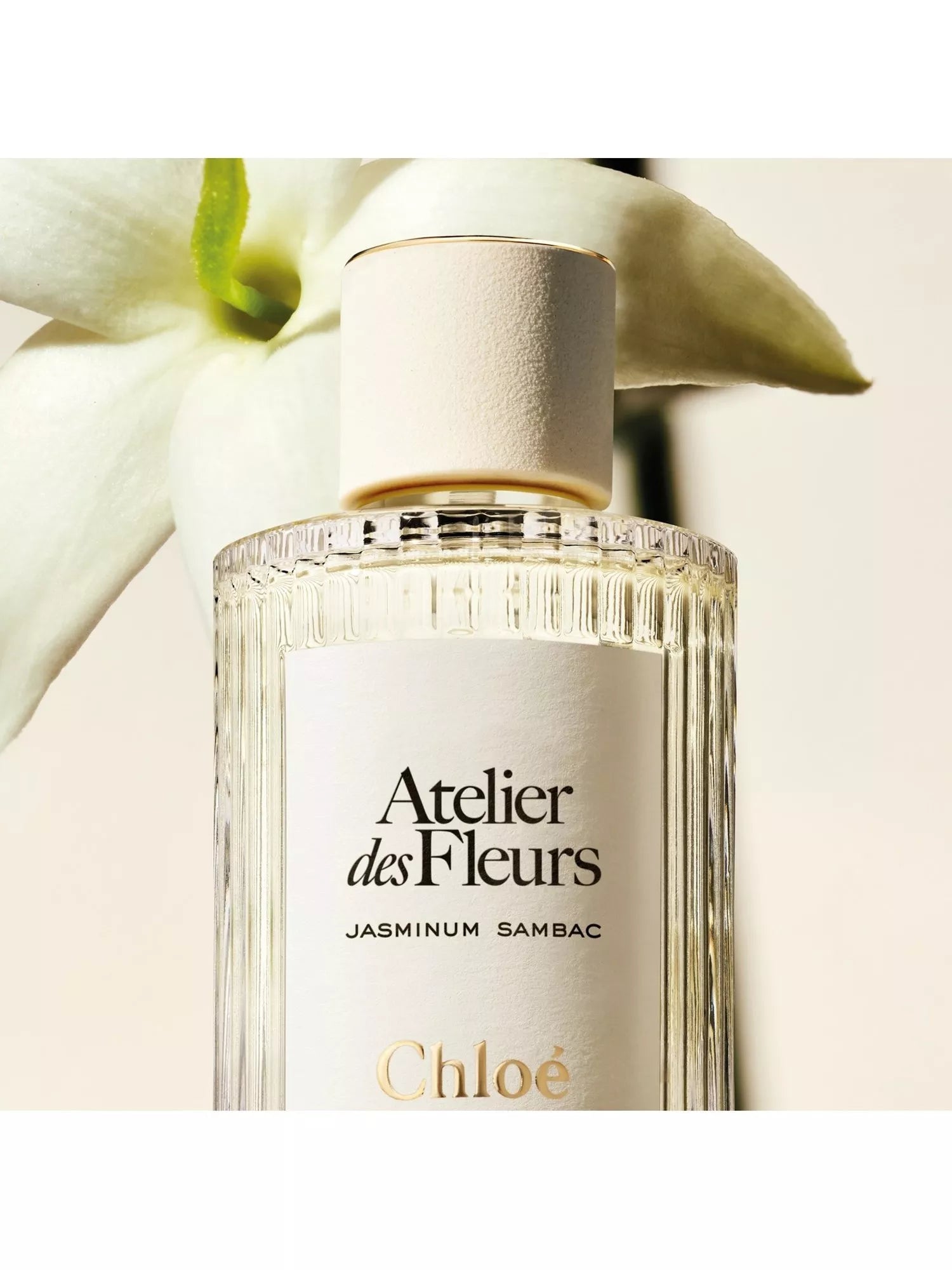 Chloé Jasminum Sambac Eau de Parfum 150ml, UK version