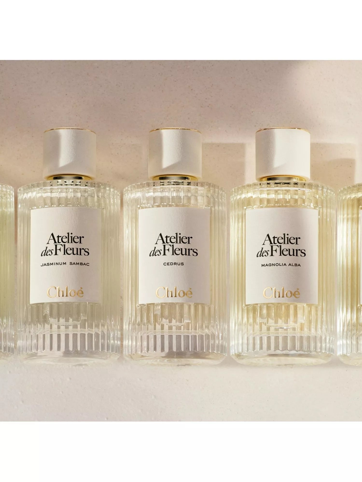 Chloé Jasminum Sambac Eau de Parfum 150ml, UK version