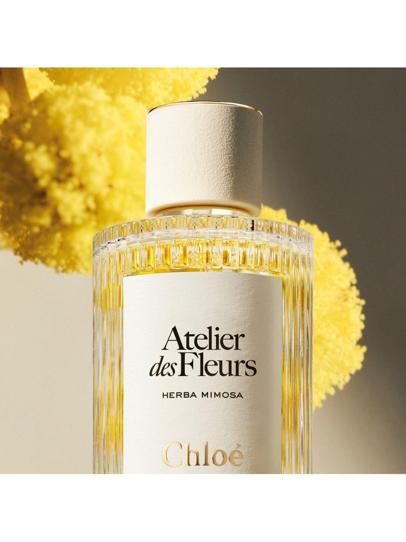 عطر Chloé Herba Mimosa ماء عطر 150 مل، نسخة المملكة المتحدة