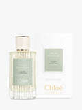 عطر Chloé Ylang Cananga Eau de Parfum 150ml (علامة تجارية بريطانية)