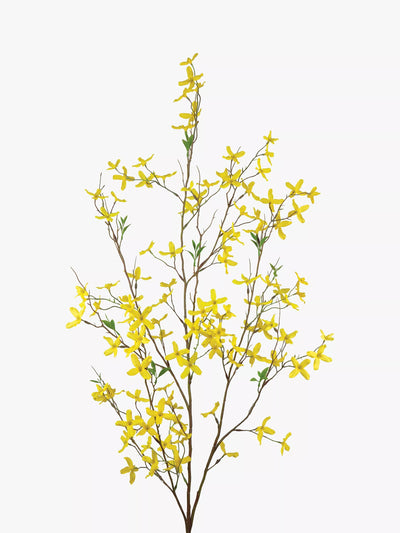 John Lewis Large Yellow Artificial Forsythia Flower Stem for Floral Arrangements- Buy online at McGrocer