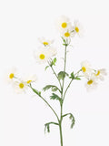 Floralsilk artificial wild cosmos spray in white - British product