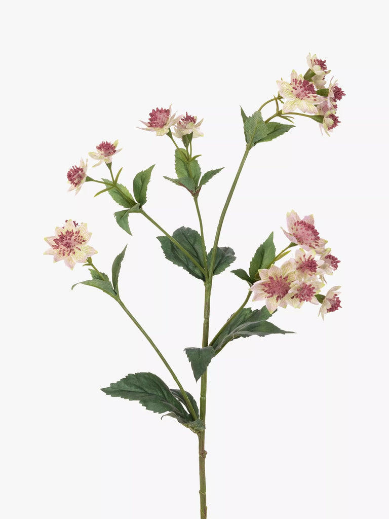 Floralsilk Artificial Astrantia Spray, Pink/Green