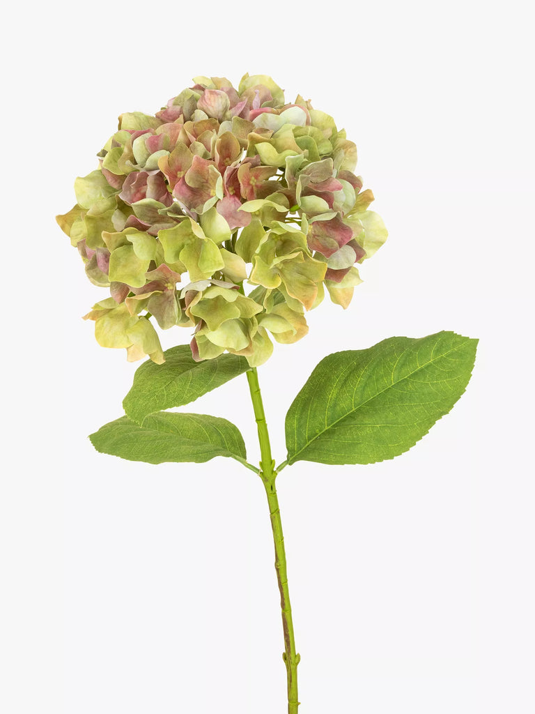 Floralsilk Artificial French Hydrangea, Green