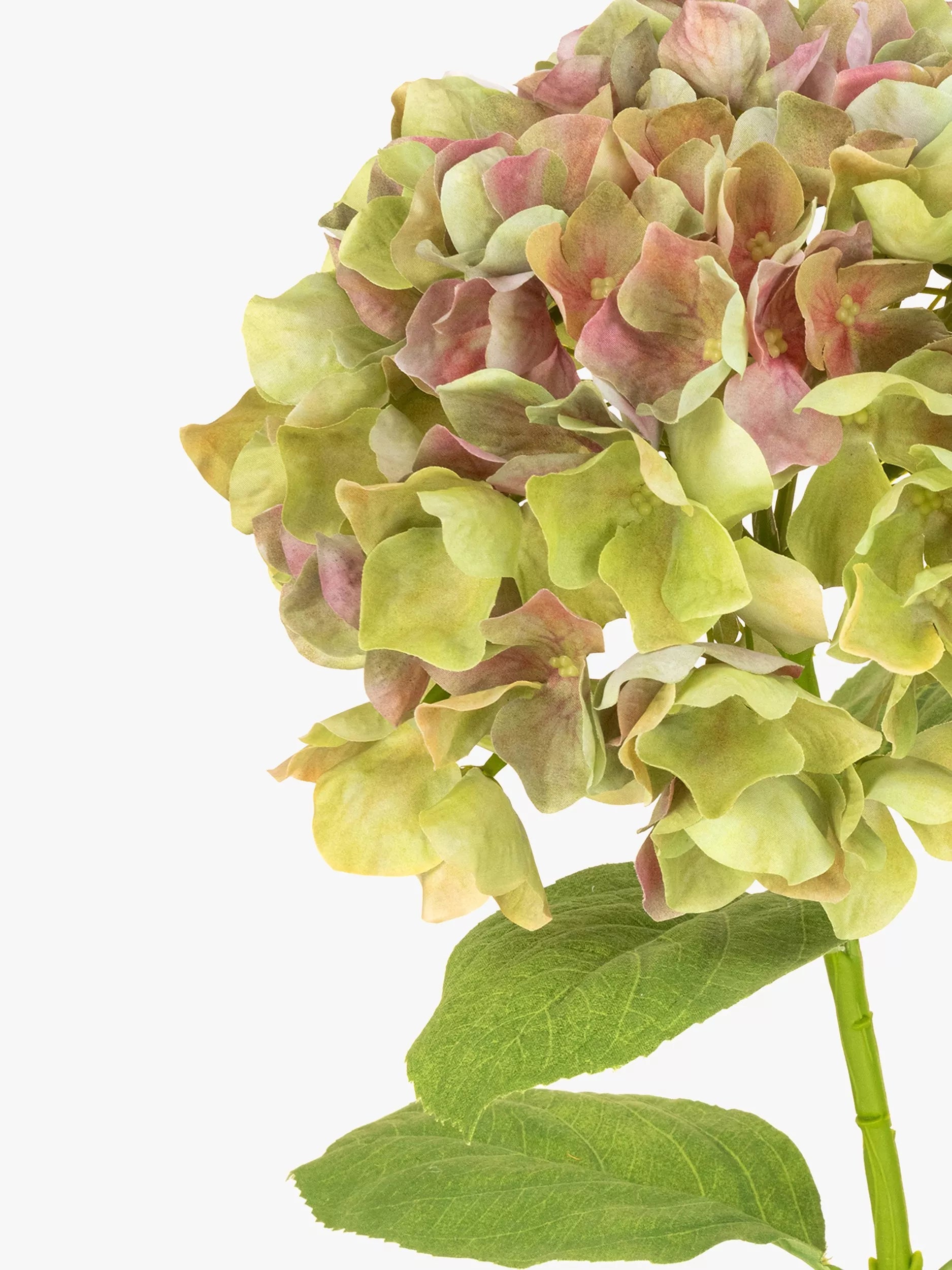 Floralsilk artificial french hydrangea green - British product