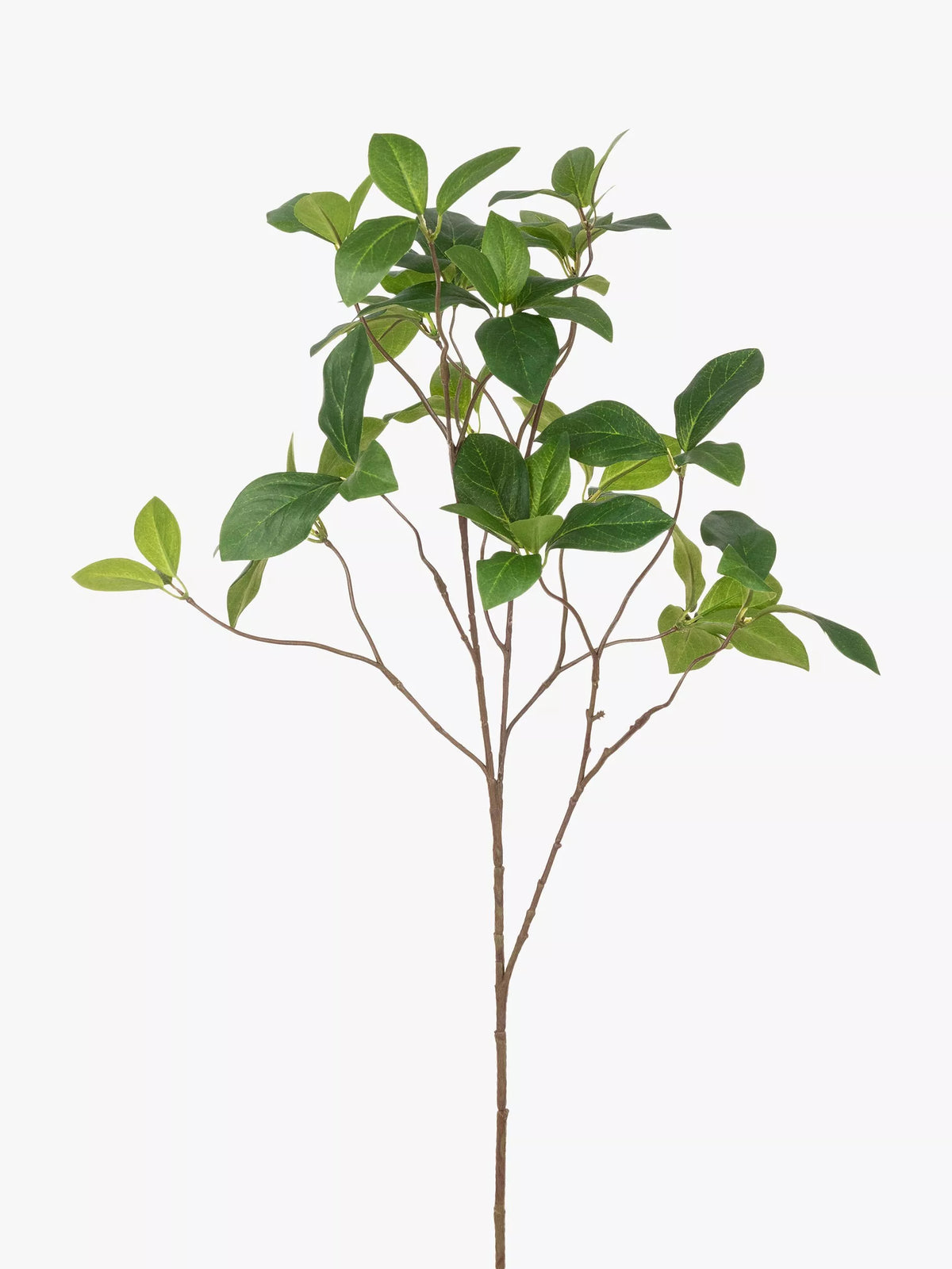 Floralsilk Artificial Enkianthus Spray Green - British product