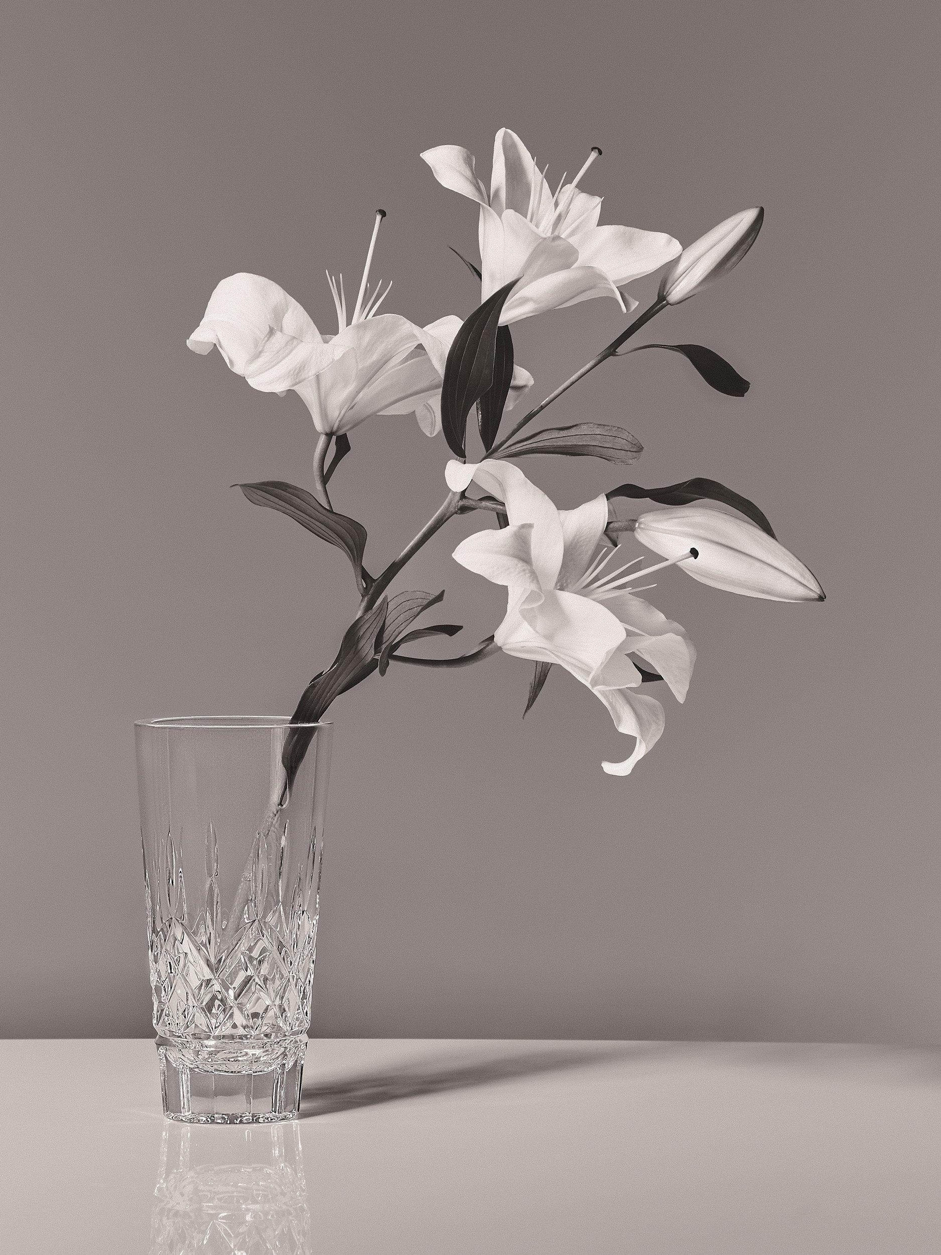 Waterford Crystal Lismore vase H20cm (British brand)
