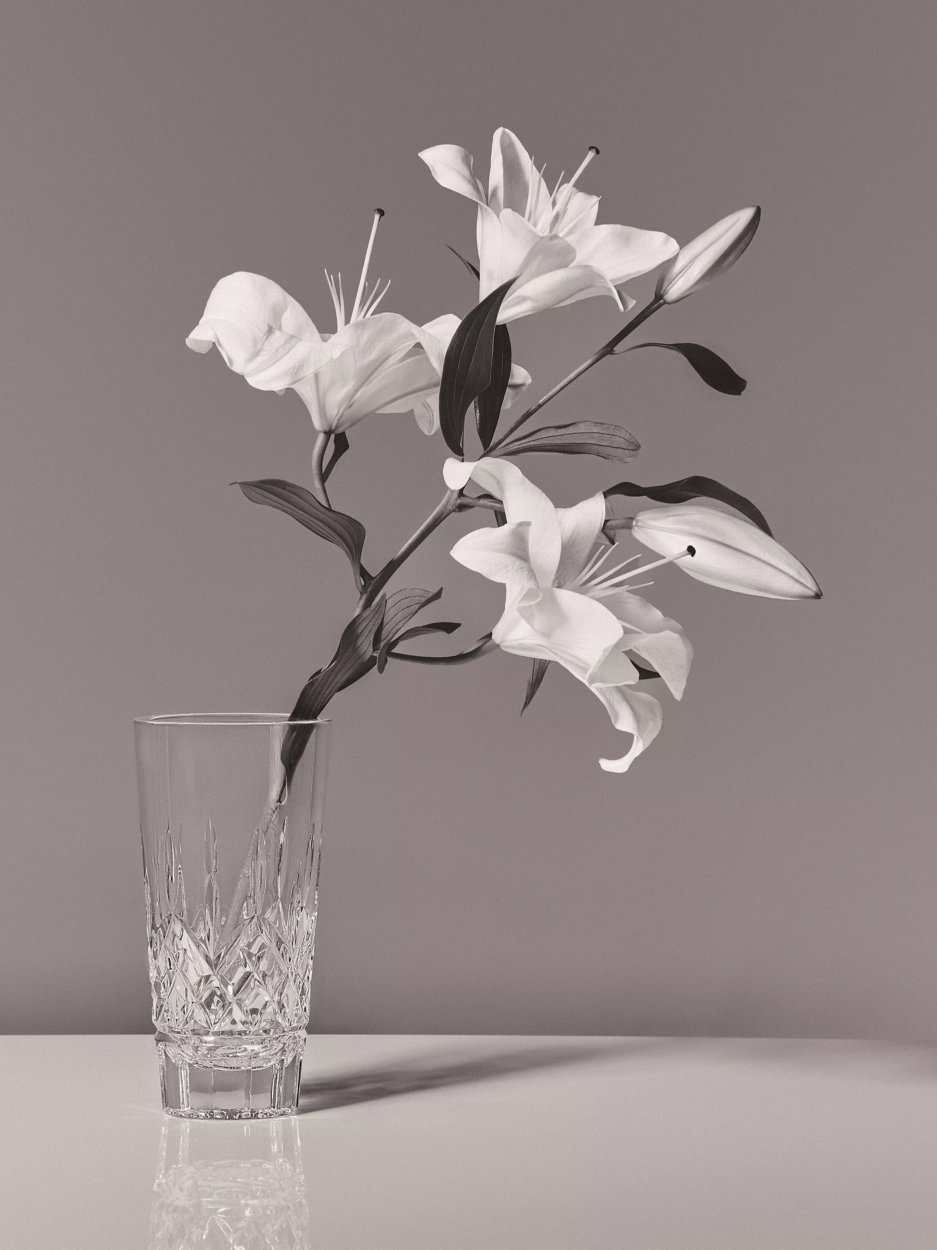 Waterford Crystal Lismore vase H20cm (British brand)
