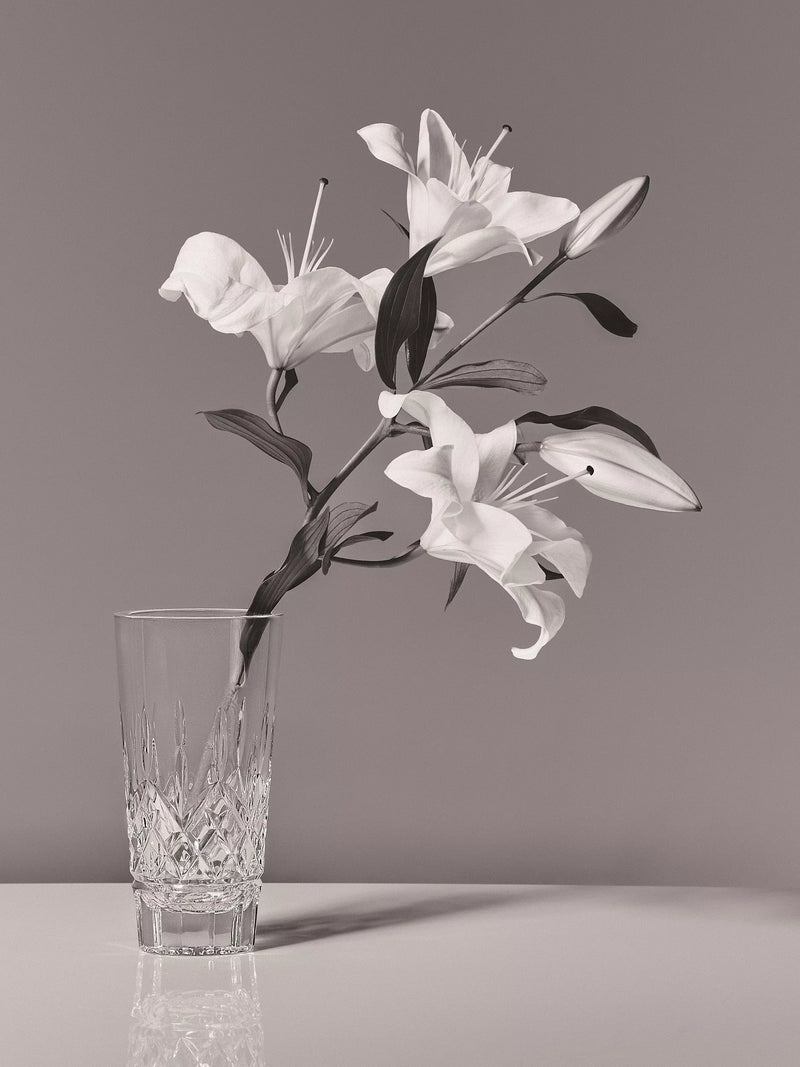 Waterford Crystal Lismore vase H20cm (British brand)
