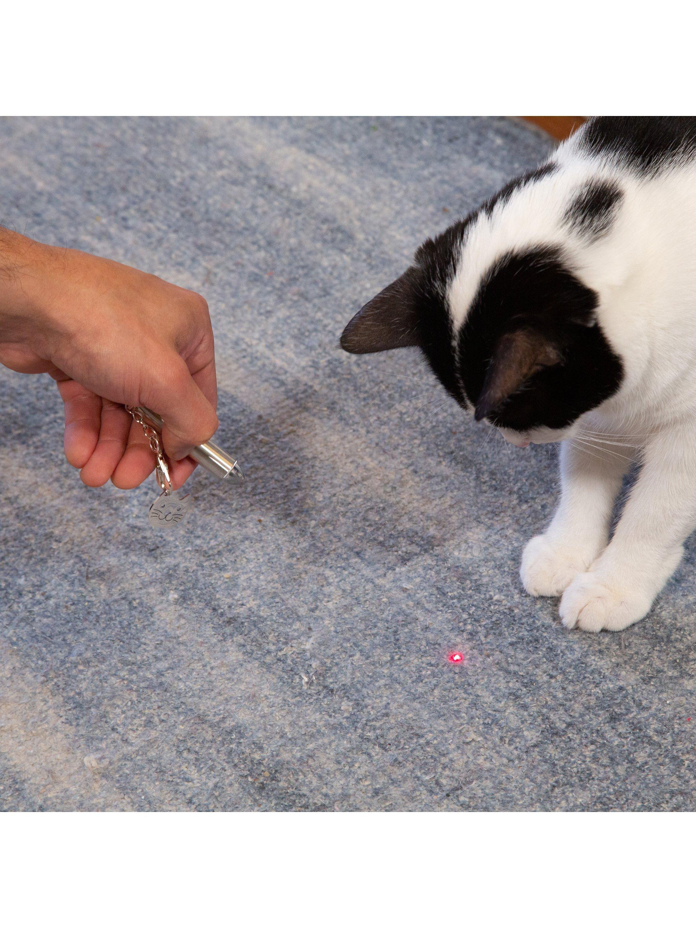 Kikkerland stainless steel cat laser pointer, UK version