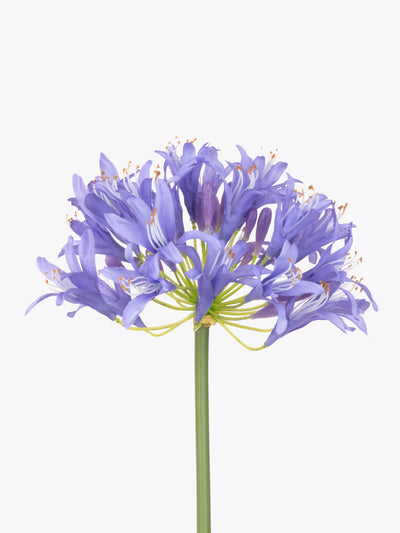 John Lewis Floralsilk Artificial Large Agapanthus, Purple