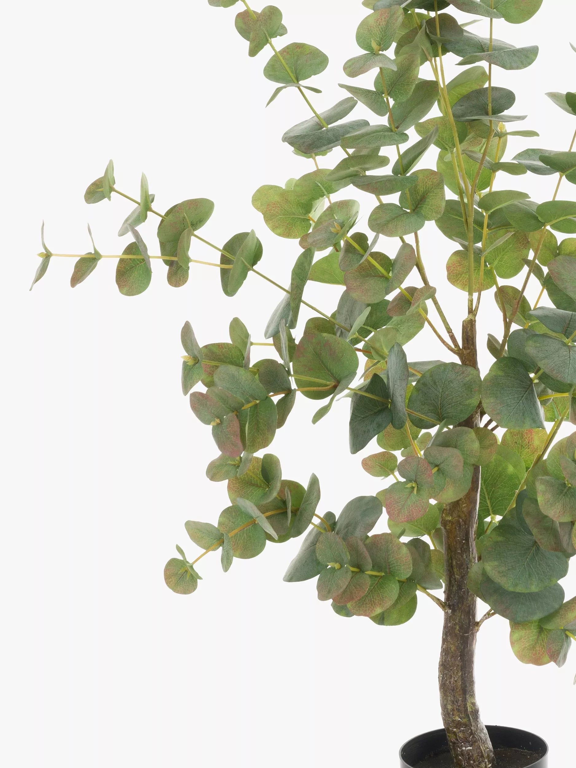 Floralsilk artificial eucalyptus tree in pot, green, 94cm height - British product