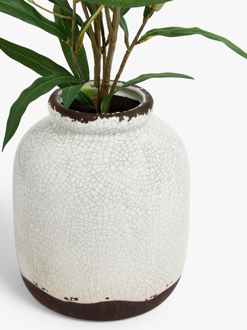 John Lewis artificial olive in ceramic vase, white/green, UK version