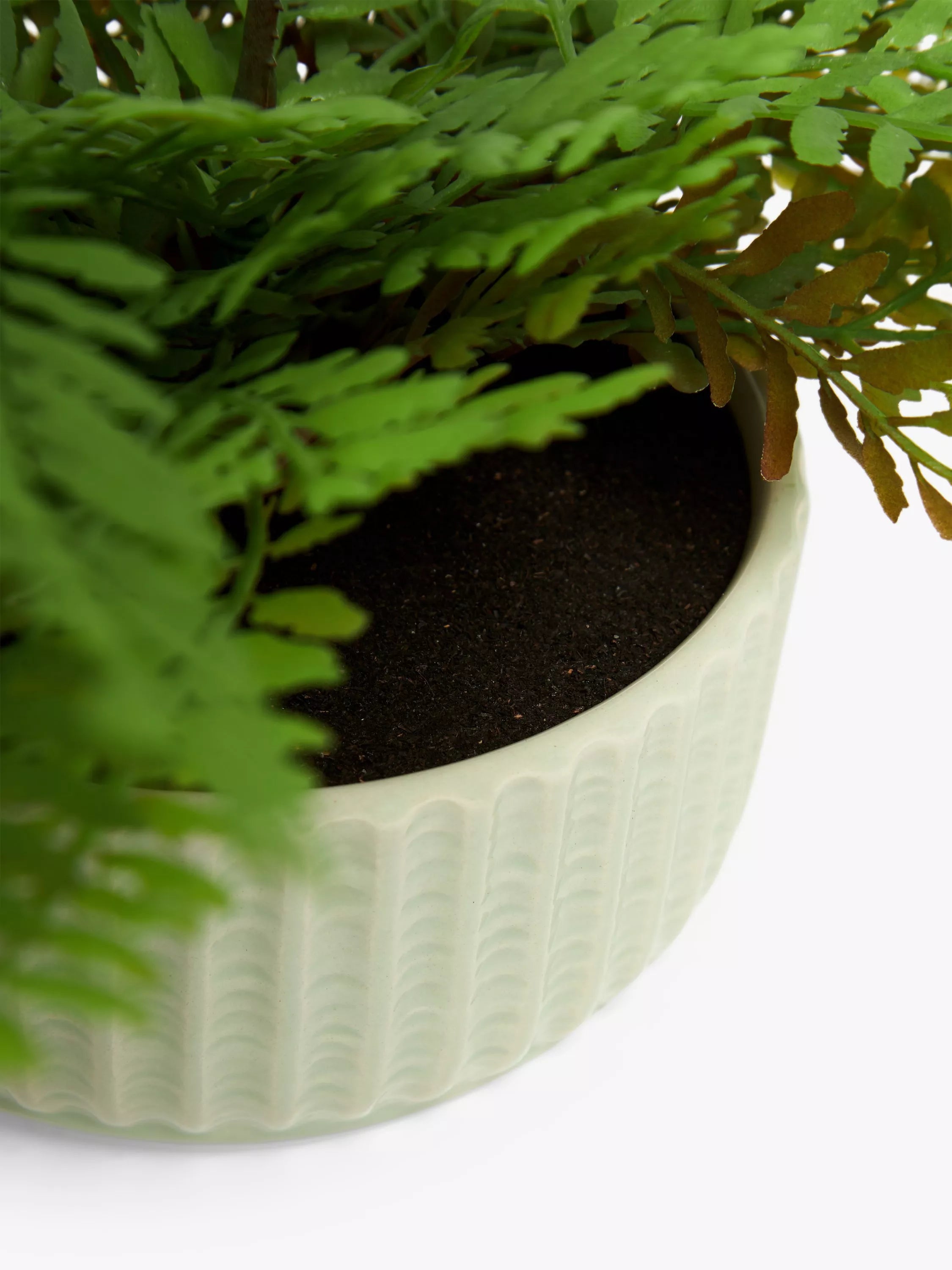 John Lewis artificial fern in green ceramic pot, UK version