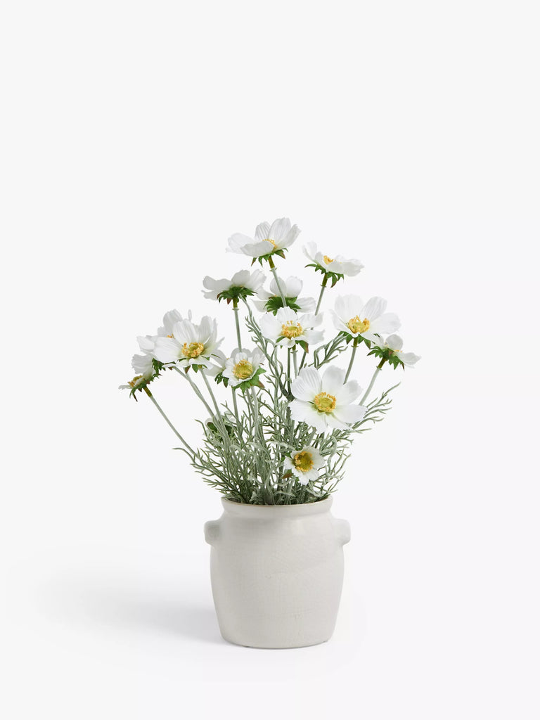 John Lewis Artificial Cosmos in Ceramic Pot, White/Green