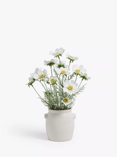 John Lewis John Lewis Plante artificielle Cosmos en pot de céramique blanc et vert - Acheter en ligne sur McGrocer