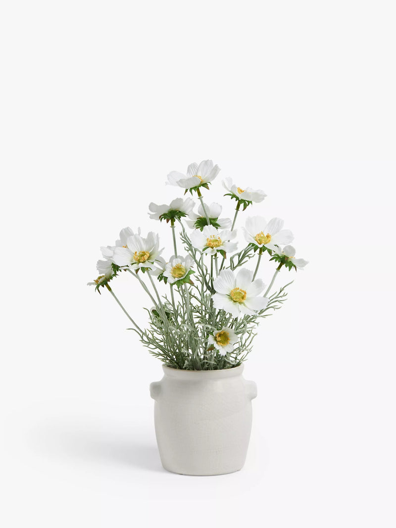 John Lewis artificial cosmos white green ceramic pot, UK version