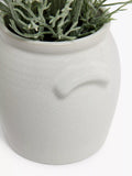 John Lewis artificial cosmos white green ceramic pot, UK version