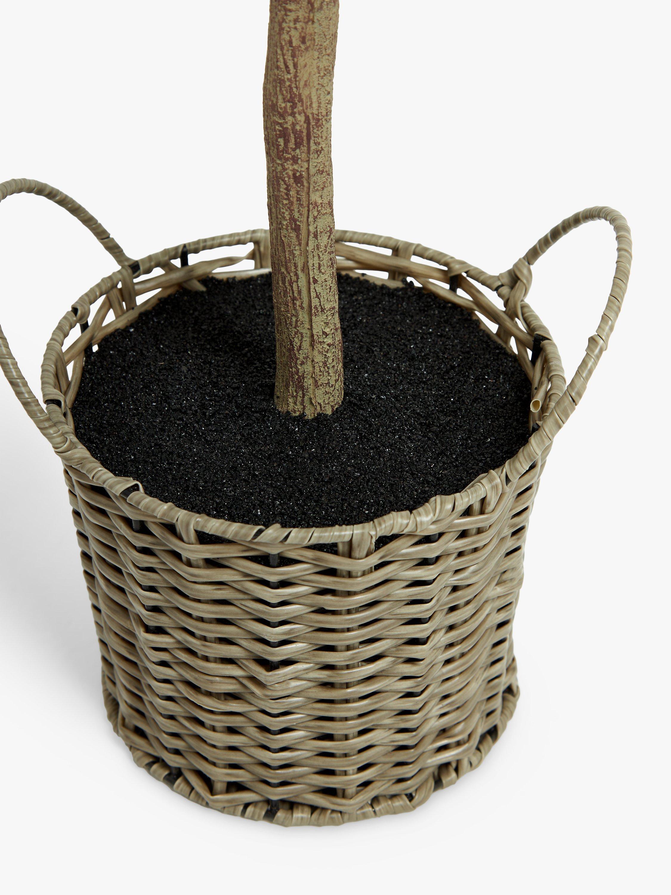John Lewis artificial olive tree in wicker basket 78cm - British product