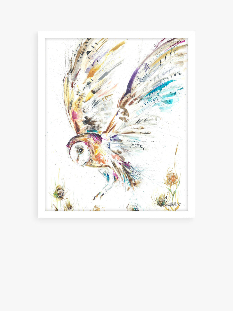 John Lewis Barn Owl I framed print Multi 63.5 x 53.5cm - British product