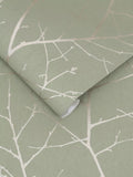 Graham & Brown Boreas Sage wallpaper, imported from the UK