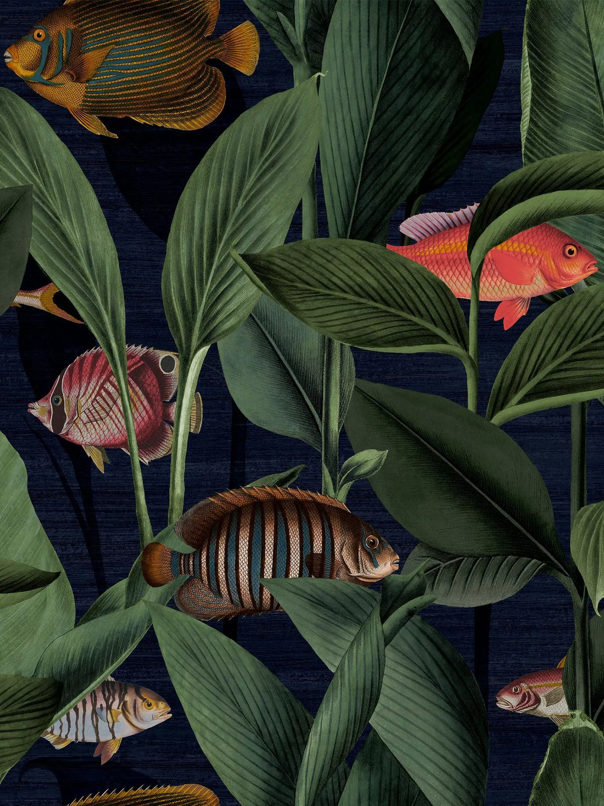 Graham & Brown Aquarium wallpaper roll 10m x 52cm, UK version