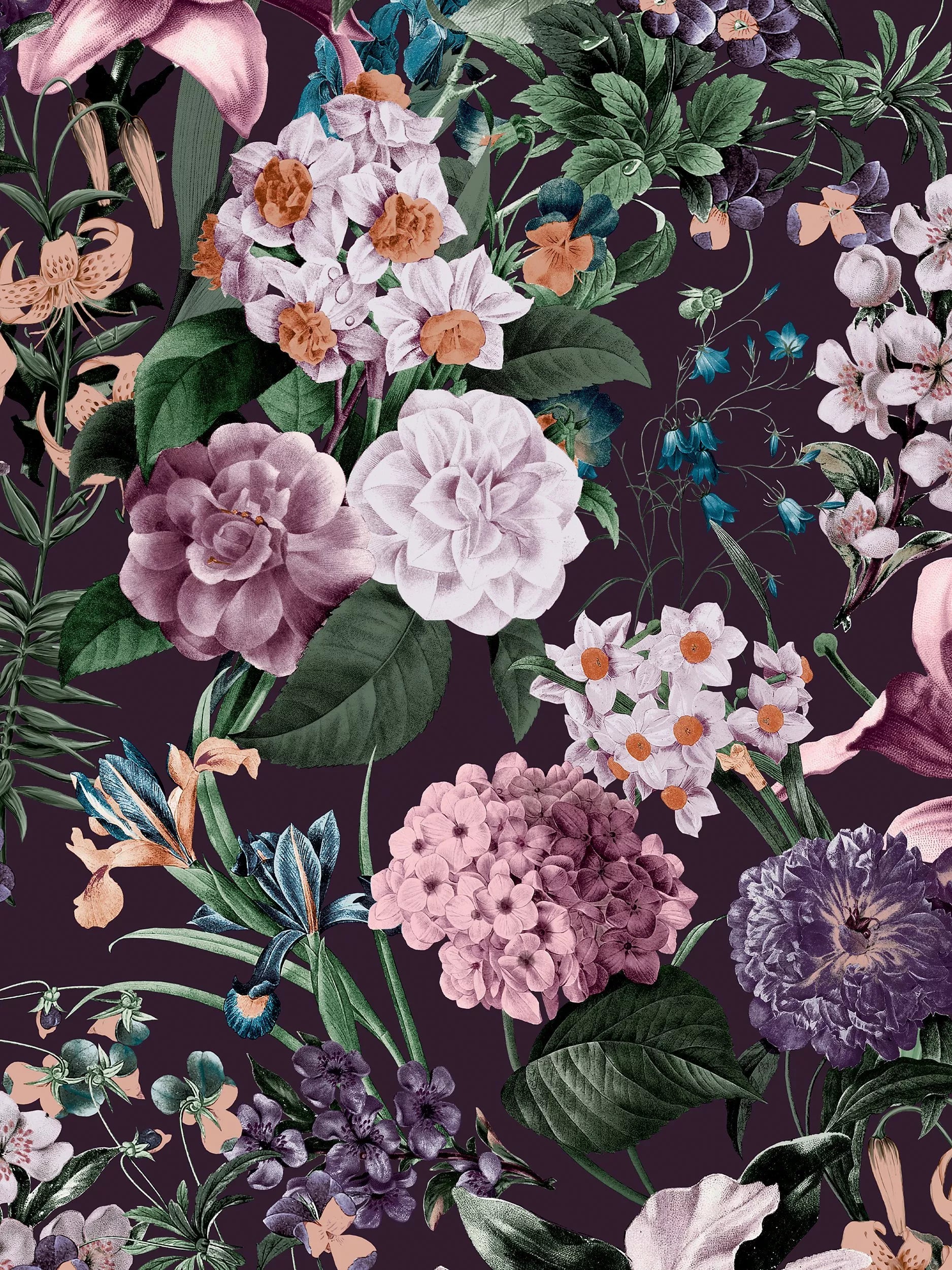 Graham & Brown Glasshouse Day Wallpaper, White/Multi, 10m x 52cm