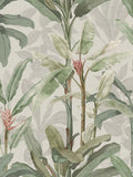 Graham & Brown Borneo Emerald Wallpaper Green 10m x 52cm