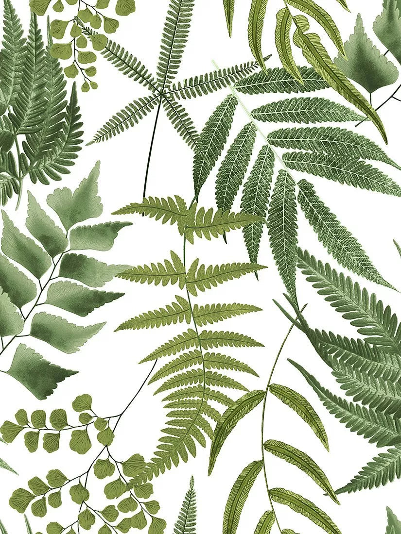 Graham & Brown Midsummer Fern wallpaper Lush, UK version
