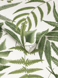 Graham & Brown Midsummer Fern wallpaper Lush, UK version