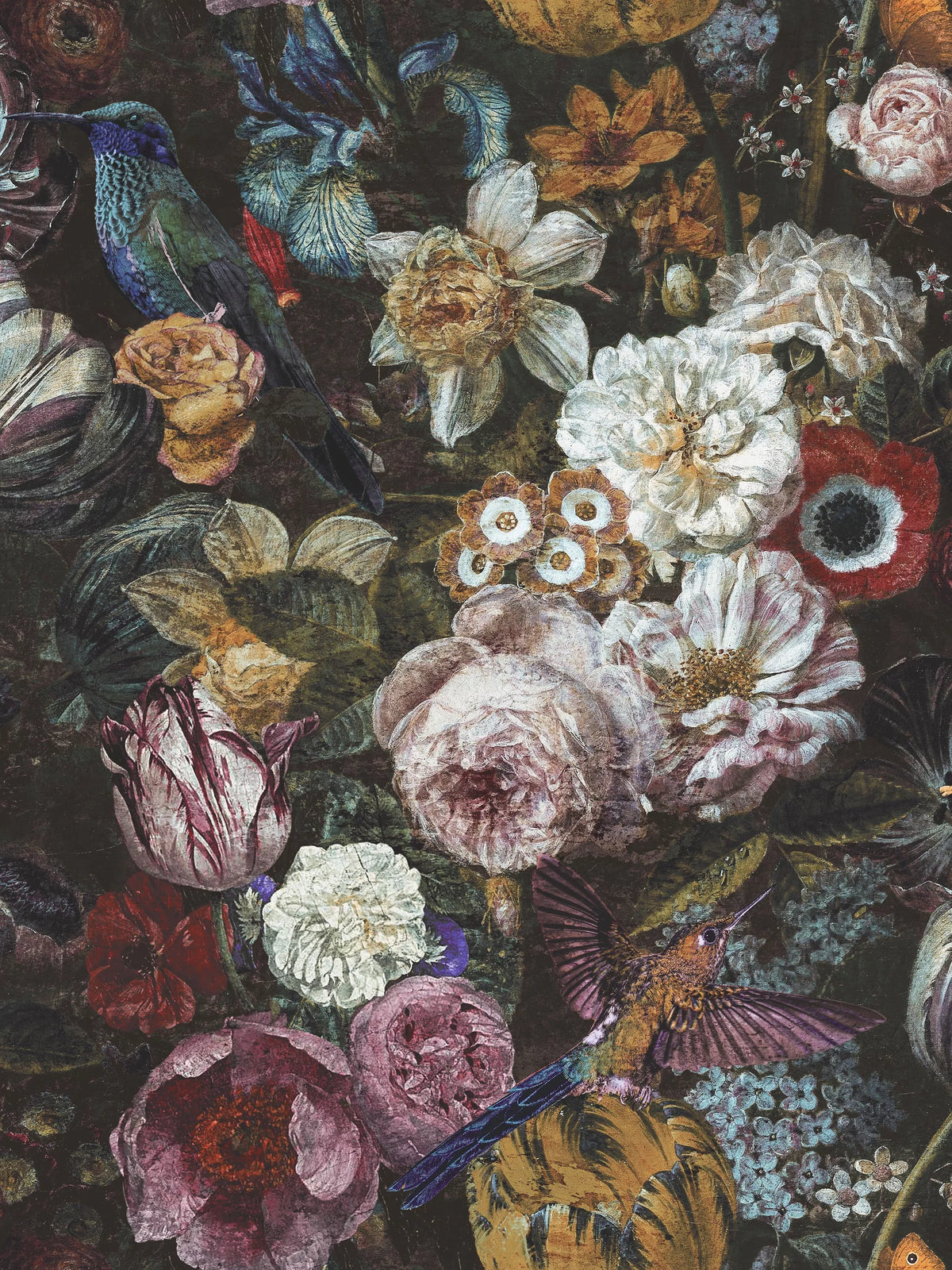 Graham & Brown Allure wallpaper Black/Multi 10m x 52cm - British product