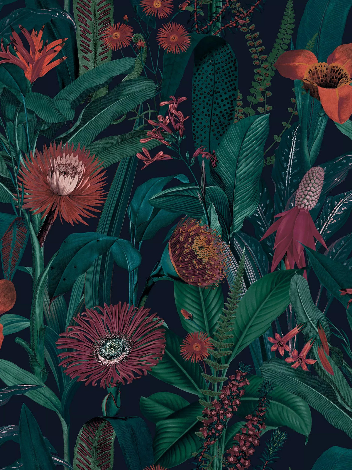 Graham & Brown Tigerlily wallpaper floral design, imported from the UK