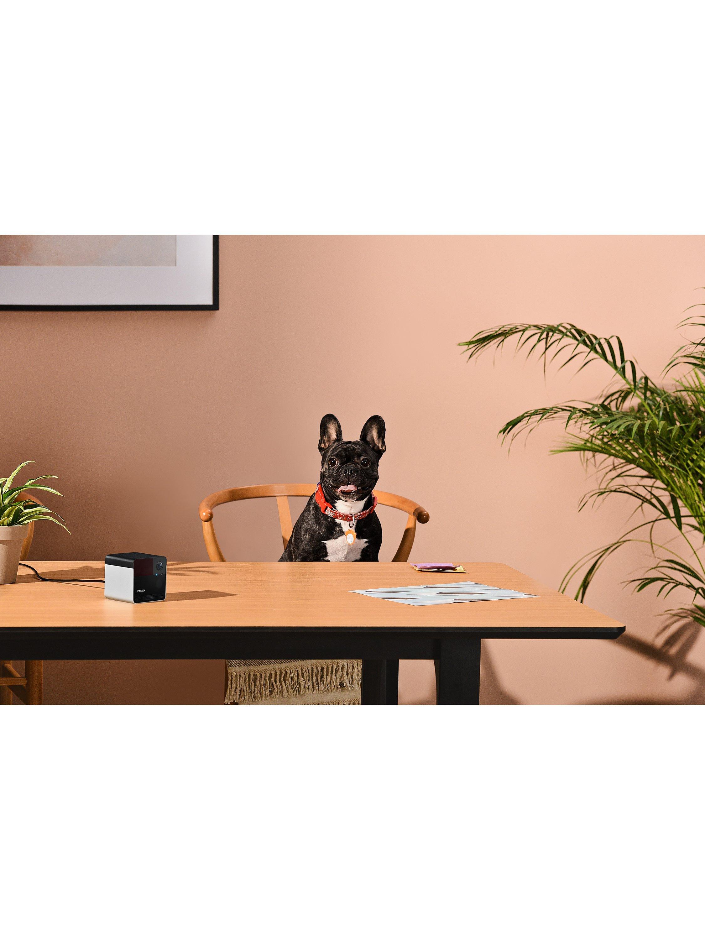 Petcube Laser Pet Camera Black - British product