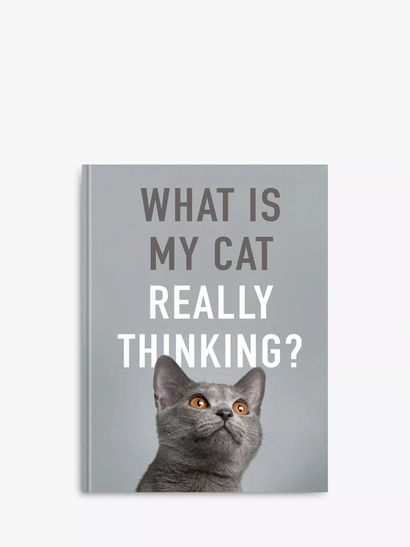 Allsorted cat behavior book - British product