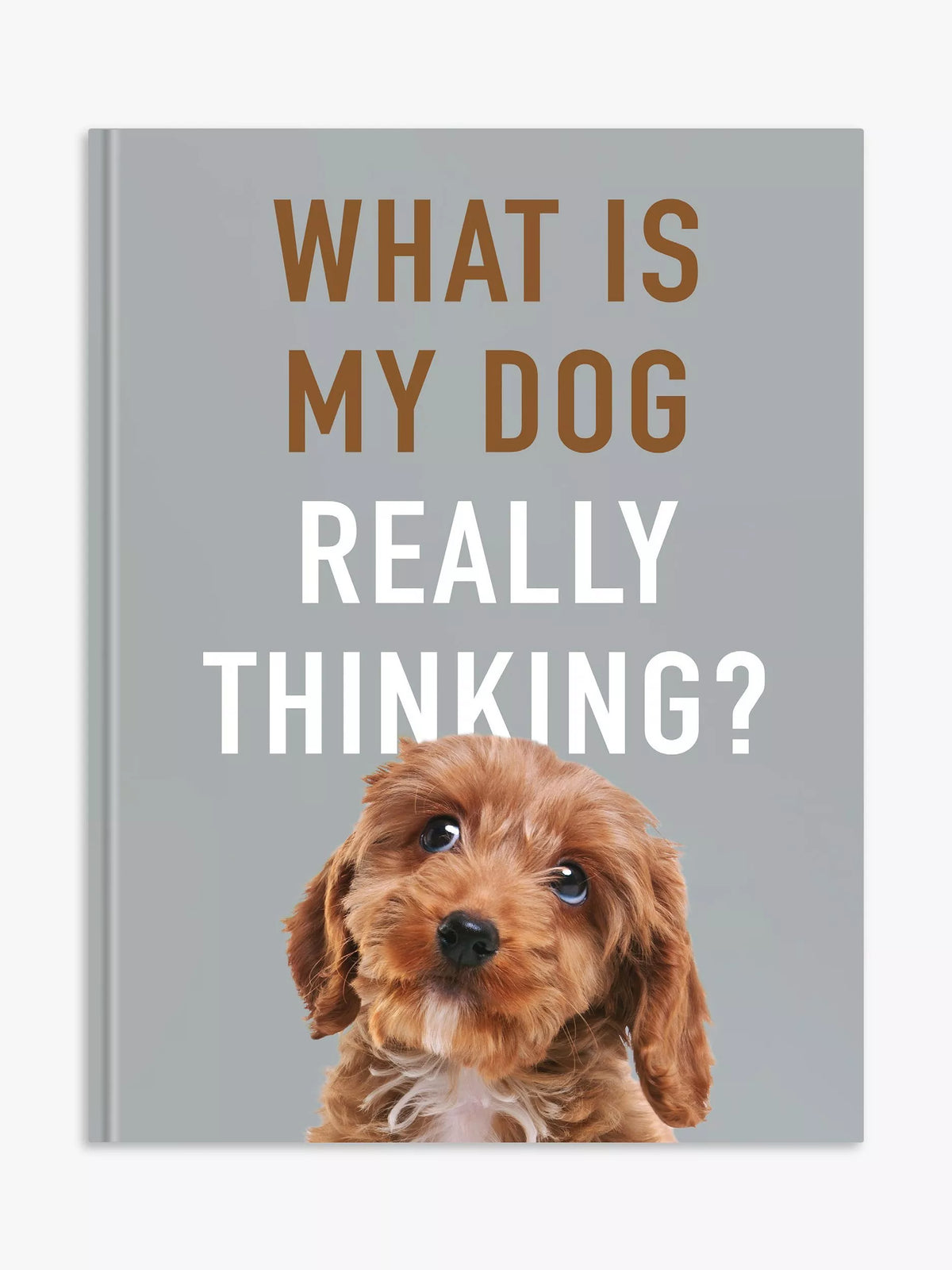 Allsorted dog thinking reference guide hardback book - British product