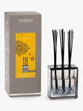 Esteban Amber reed diffuser 250ml - British product