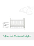 Little Seeds Monarch Hill Ivy Metal Cotbed, UK version