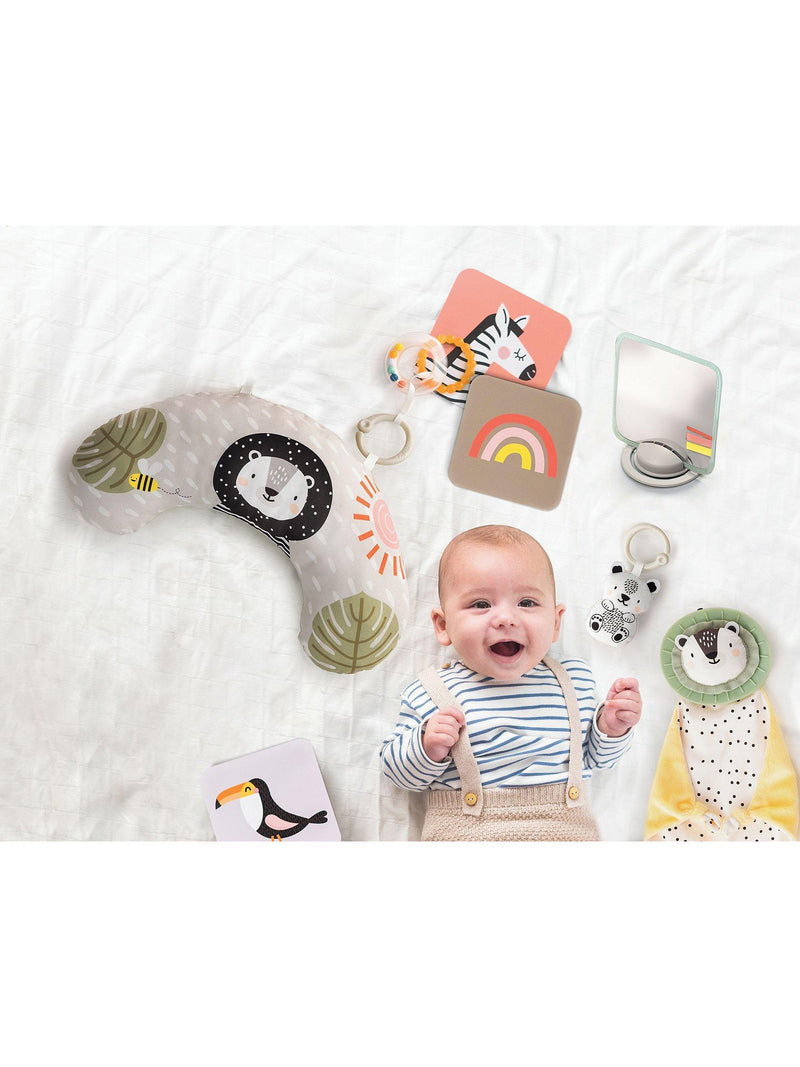 Taf Toys baby toy set Newborn Kit 12 pieces, UK version