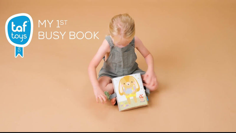 Taf Toys My First Busy Book educational toy - British product