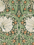 William Morris At Home Pimpernel Wallpaper