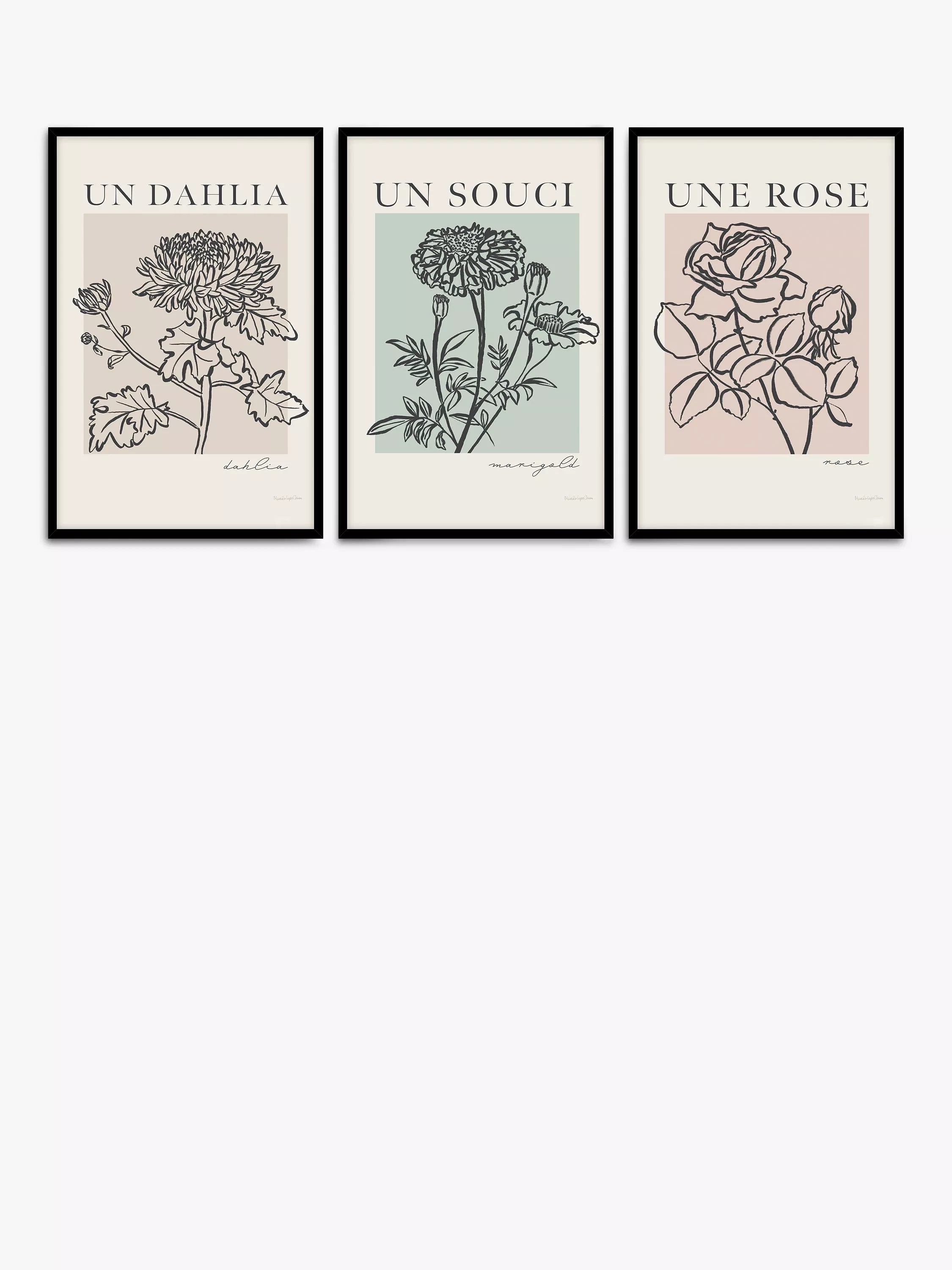 John Lewis French Flowers framed poster prints set of 3 62x42cm, UK version