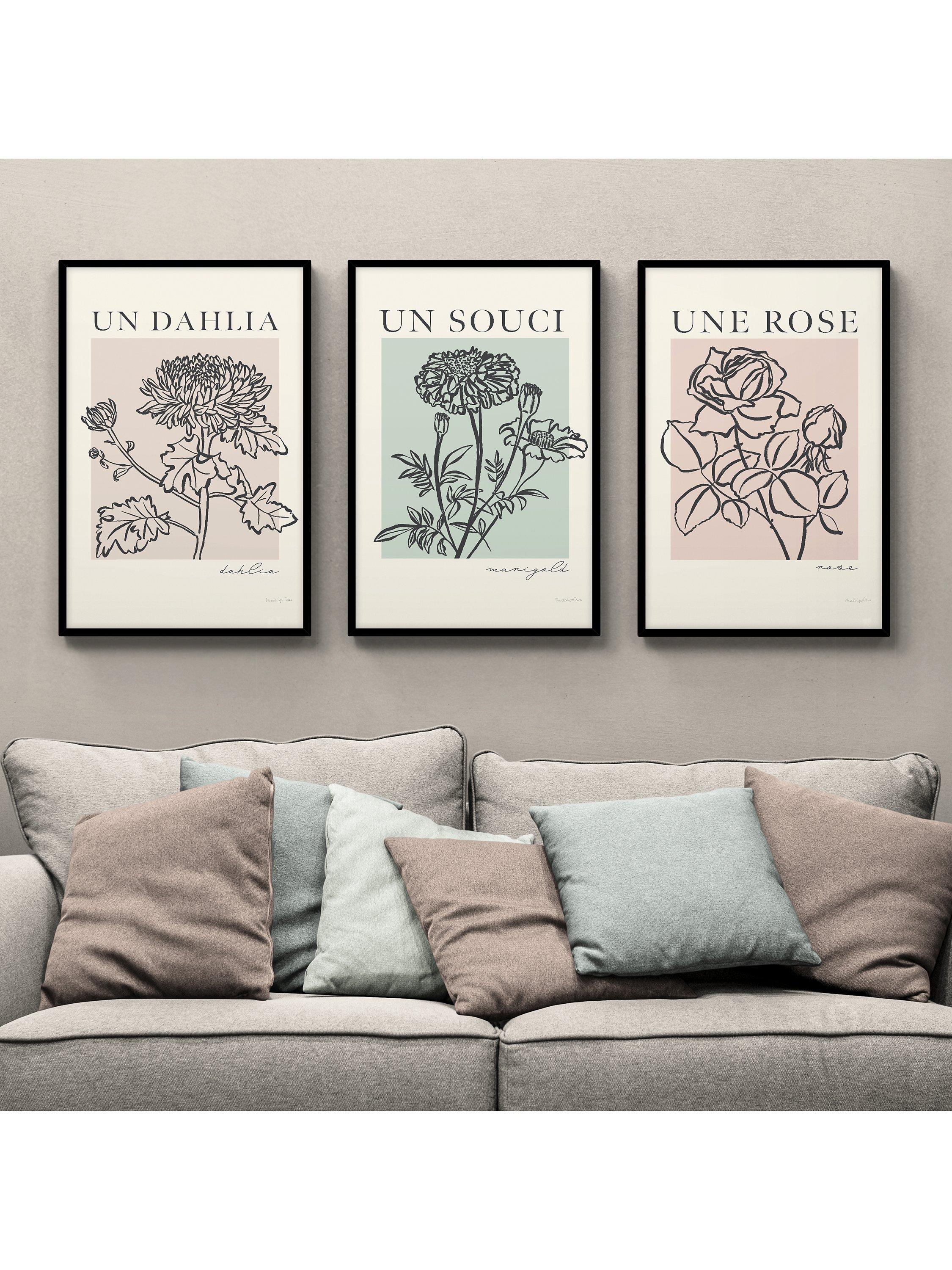 John Lewis French Flowers framed poster prints set of 3 62x42cm, UK version