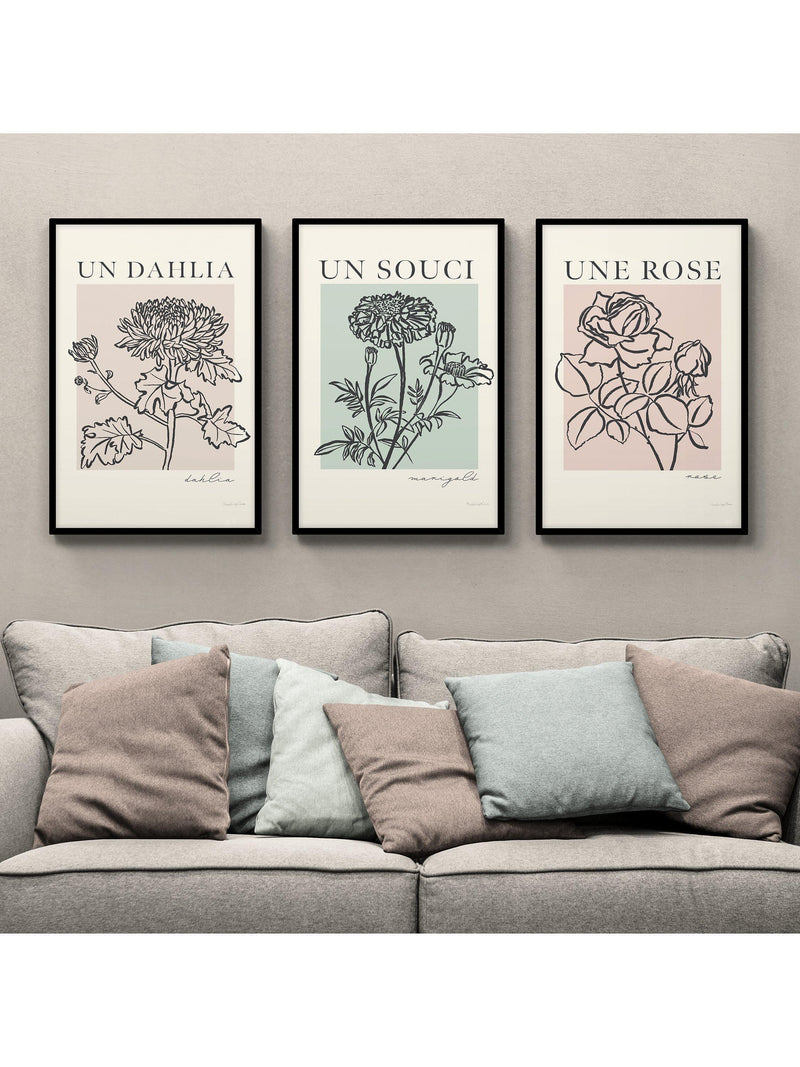 John Lewis French Flowers framed poster prints set of 3 62x42cm, UK version