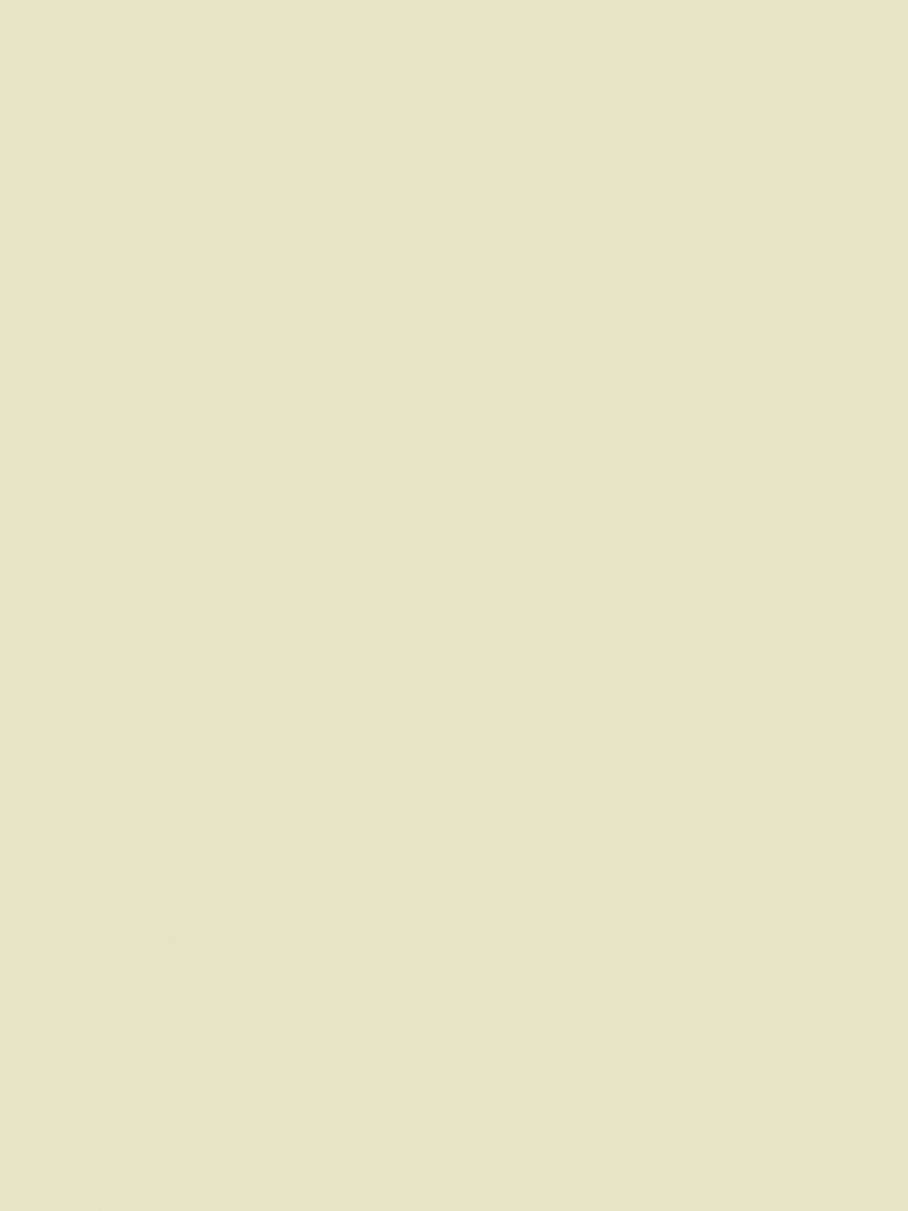 The Little Greene Paint Company Intelligent Matt Emulsion Paint, Warm Whites, 2500ml