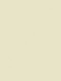 The Little Greene Paint Company Intelligent Matt Emulsion Paint, Warm Whites, 2500ml