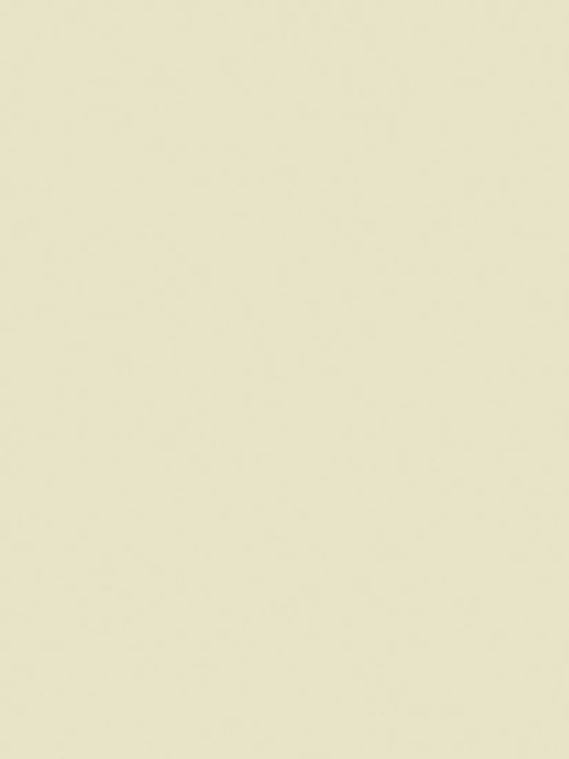 The Little Greene Paint Company Intelligent Eggshell Paint, Light Stone Neutrals, 1000ml