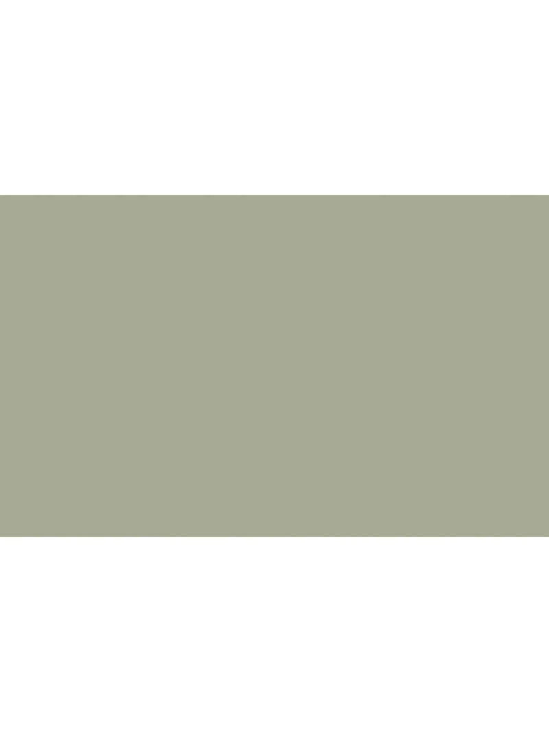 Little Greene Absolute Matt Emulsion Strong Greens 2.5L - British product