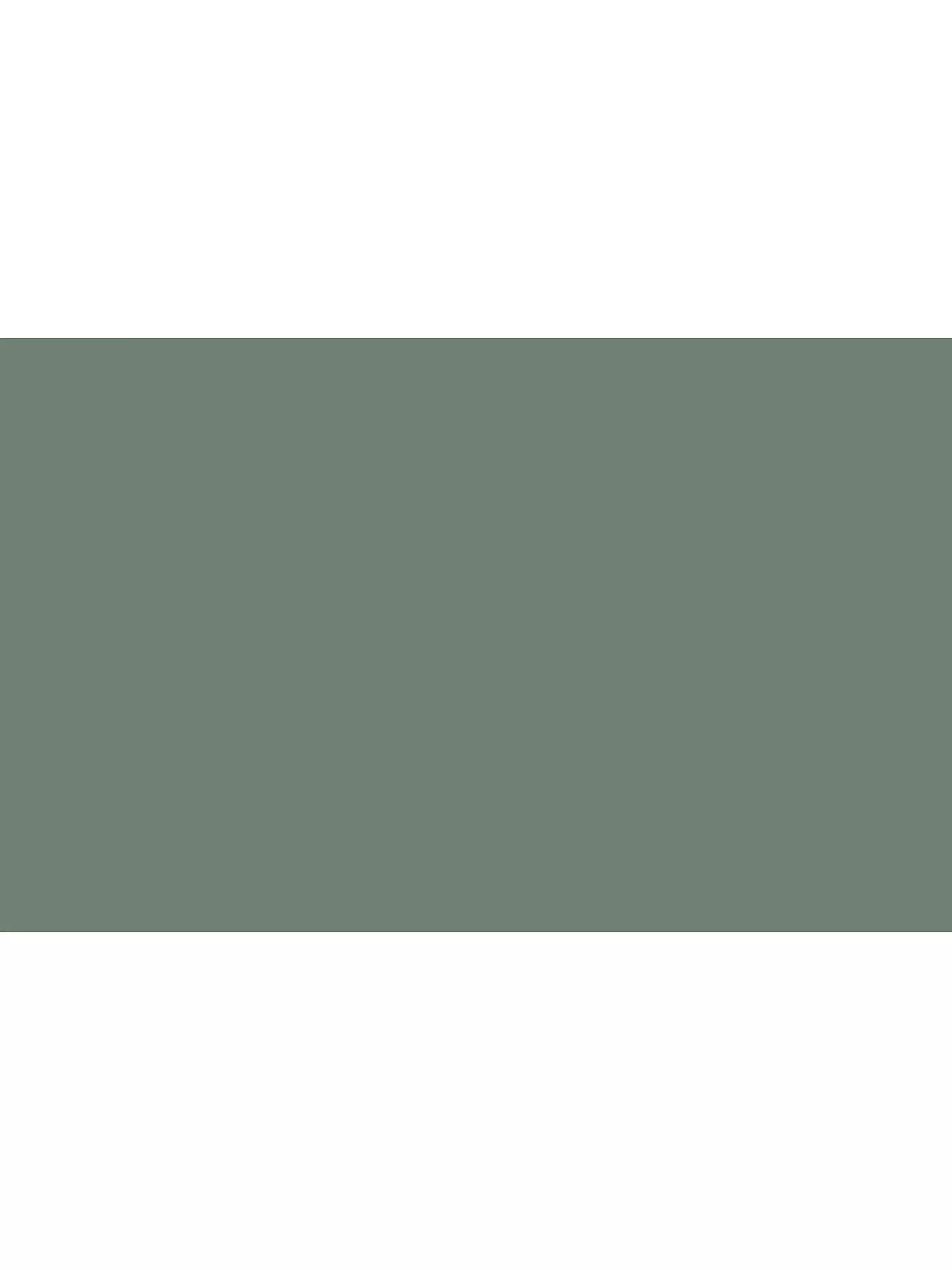The Little Greene Paint Company Intelligent Matt Emulsion Strong Greens 2500ml