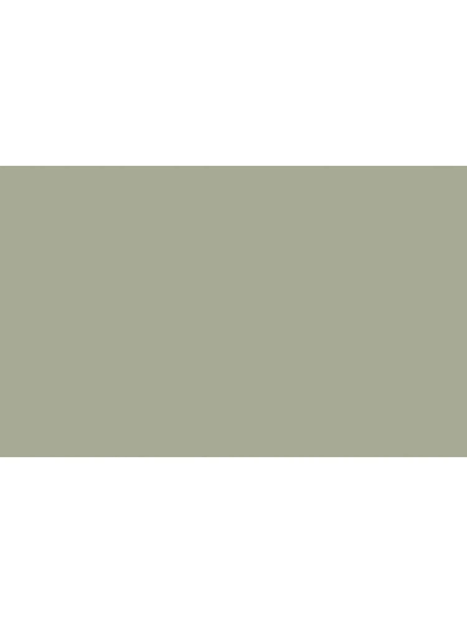 The Little Greene Paint Company Intelligent Matt Emulsion Strong Greens 2500ml